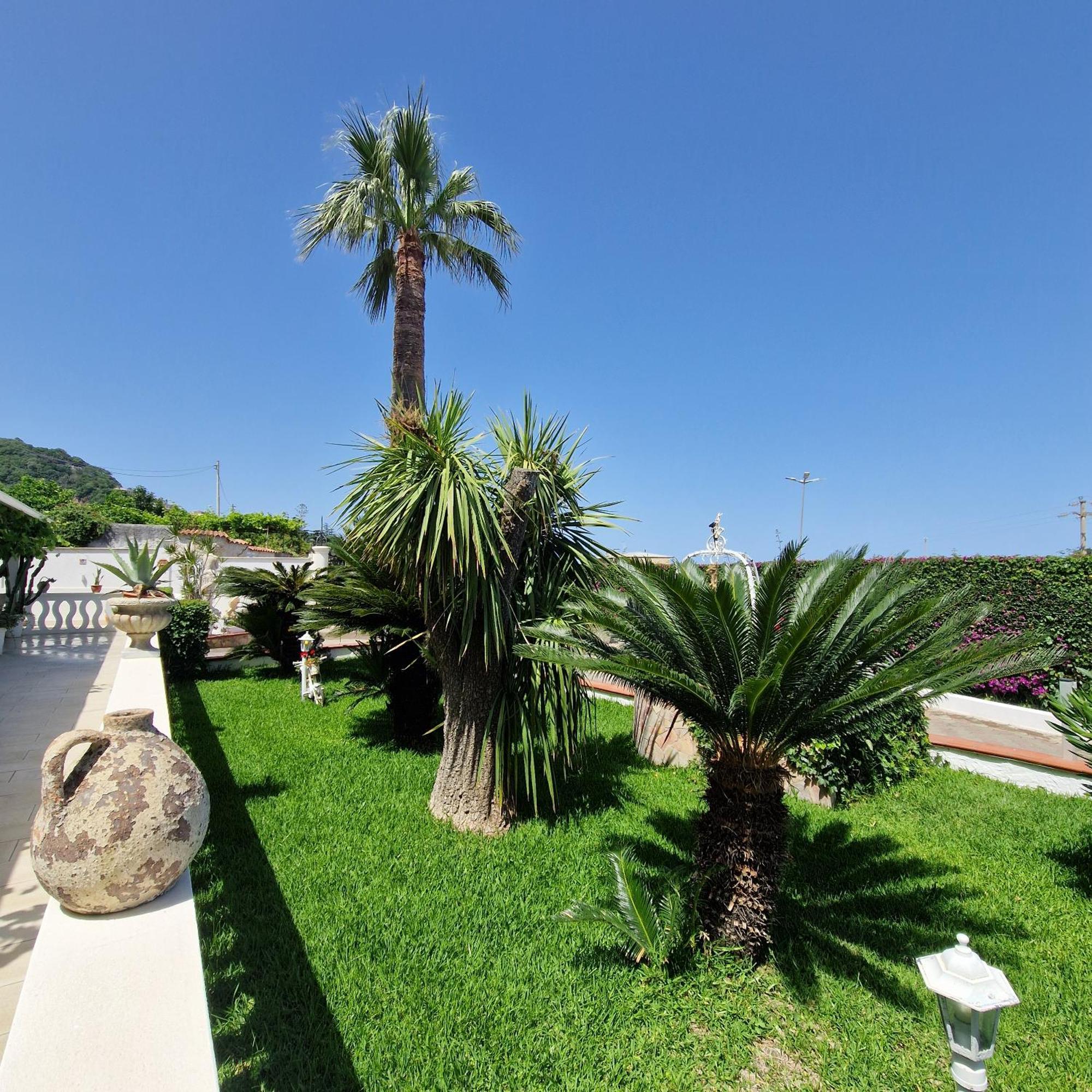 Santa Venere Apartments "Parcheggio Privato Moto-Auto" Ricarica Auto Elettriche טרופאה מראה חיצוני תמונה